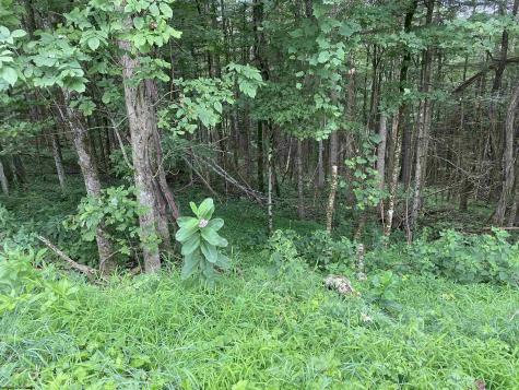 0 Limestone Road Parsons WV 26287
