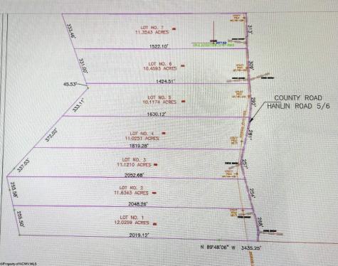 4 Hanlin Road Bruceton Mills WV 26525-0000