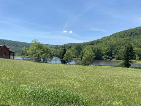 34 Mallow Lake Drive Davis WV 26260