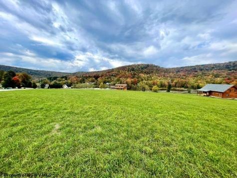 34 Mallow Lake Drive Davis WV 26260