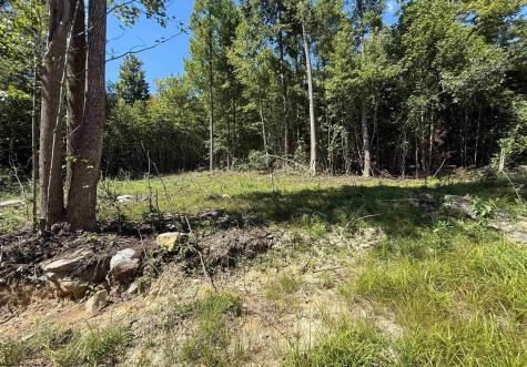 Lot 2 Brooklyn Way Moatsville WV 26405