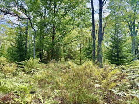0 9 Chickadee Drive Davis WV 26260-0000
