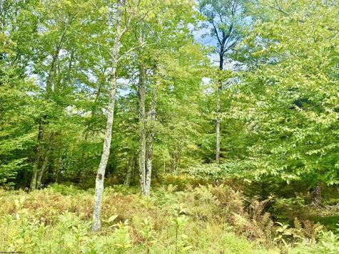 0 9 Chickadee Drive Davis WV 26260-0000