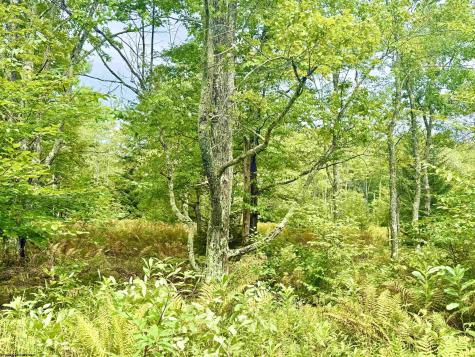0 9 Chickadee Drive Davis WV 26260-0000