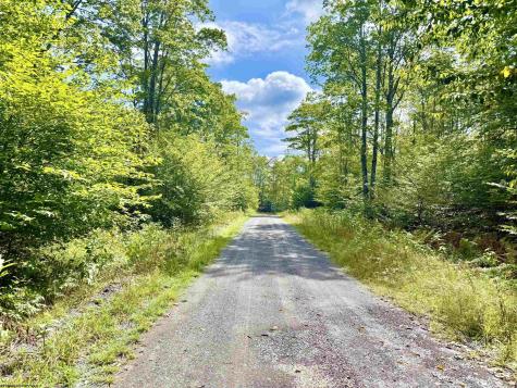 0 9 Chickadee Drive Davis WV 26260-0000