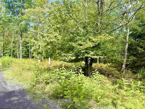 0 9 Chickadee Drive Davis WV 26260-0000