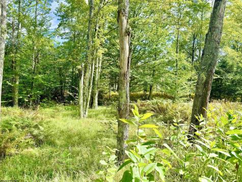0 9 Chickadee Drive Davis WV 26260-0000
