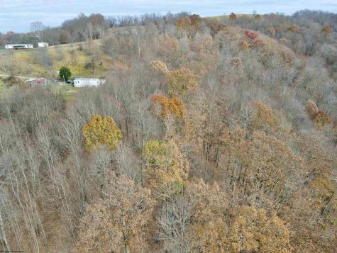 1945 Wilson Ridge Road Duck WV 25063