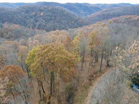 1945 Wilson Ridge Road Duck WV 25063