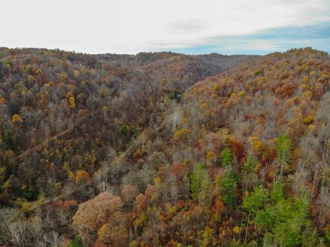 TBD Pyles Avenue Mannington WV 26582