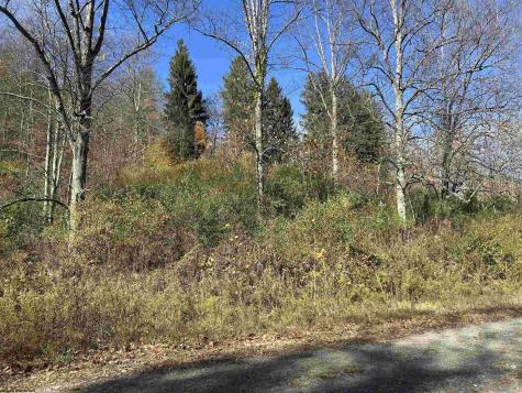 TBD Pyles Avenue Mannington WV 26582