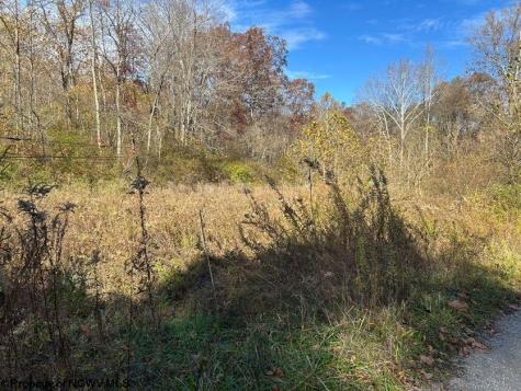 0 Pyles Avenue Mannington WV 26582