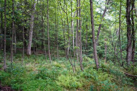 130 Laurel Loop Bruceton Mills WV 26525