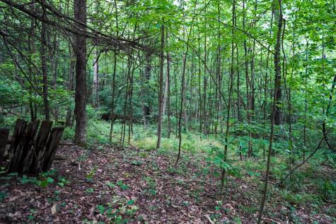 130 Laurel Loop Bruceton Mills WV 26525