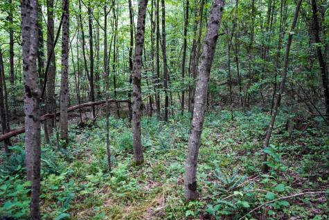 130 Laurel Loop Bruceton Mills WV 26525