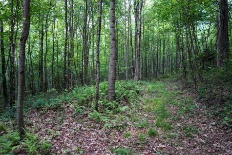 130 Laurel Loop Bruceton Mills WV 26525