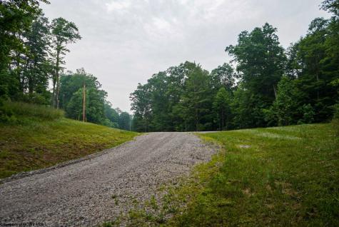 130 Laurel Loop Bruceton Mills WV 26525