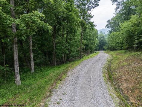 130 Laurel Loop Bruceton Mills WV 26525