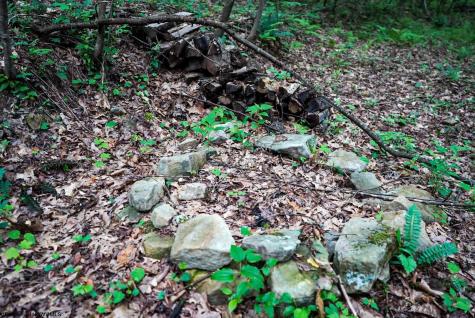 130 Laurel Loop Bruceton Mills WV 26525