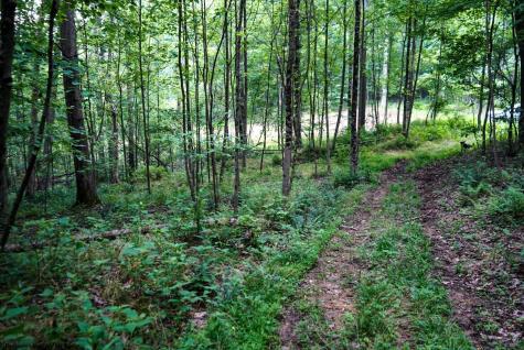 130 Laurel Loop Bruceton Mills WV 26525