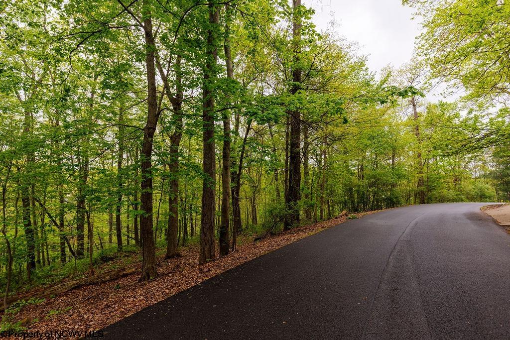 0 Hinkle Lake Road Bridgeport WV 26330