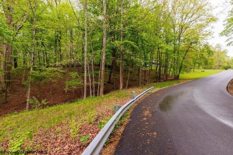 0 Hinkle Lake Road Bridgeport WV 26330