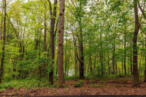 0 Hinkle Lake Road Bridgeport WV 26330