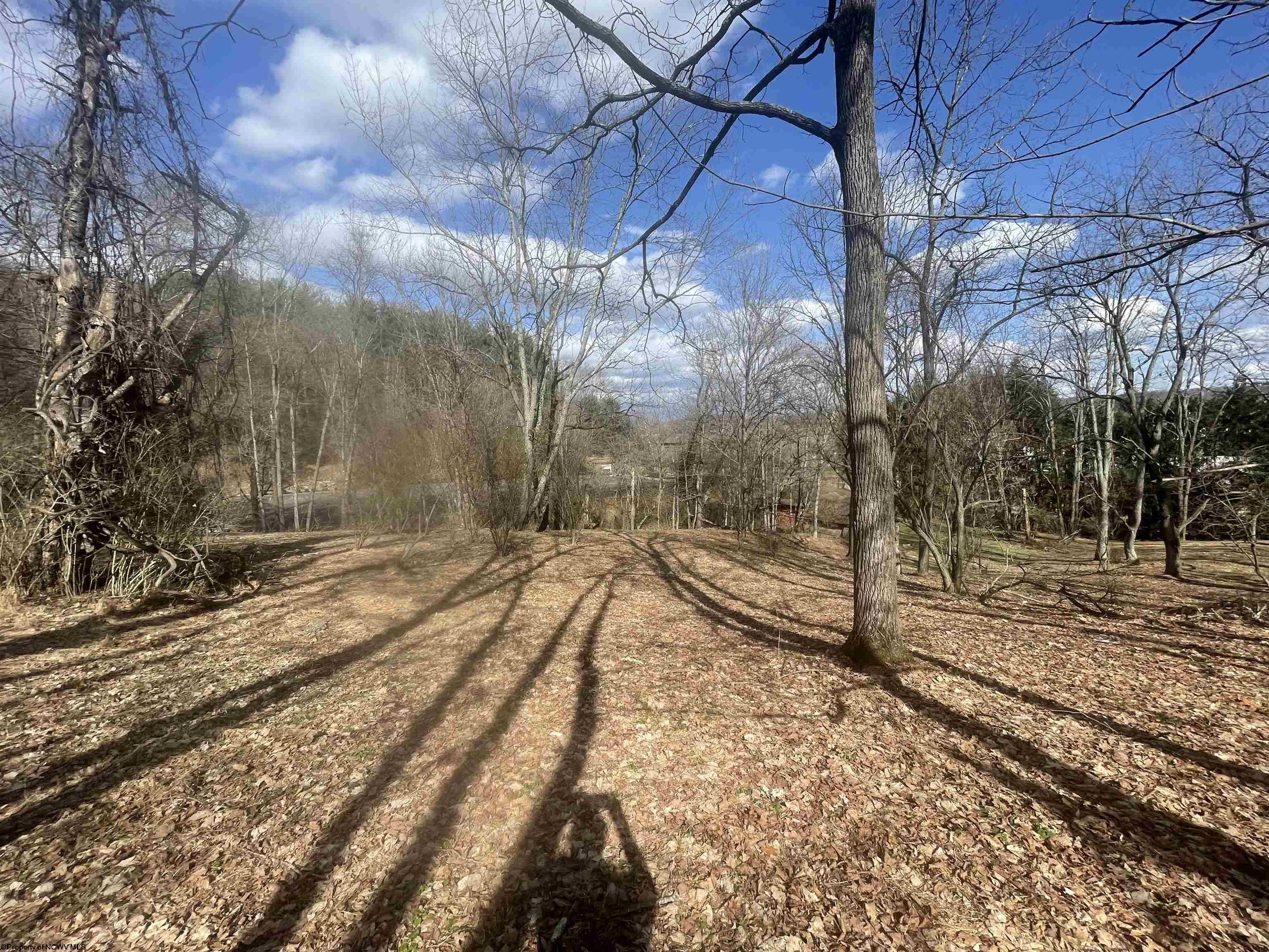 0 Putnam Street Buckhannon WV 26201
