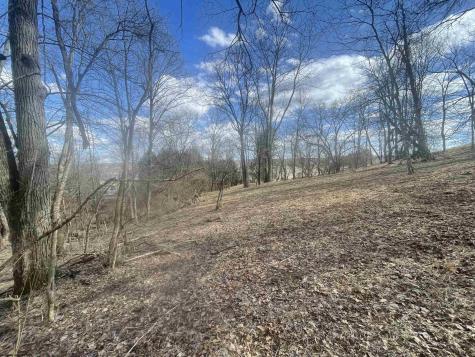 0 Putnam Street Buckhannon WV 26201