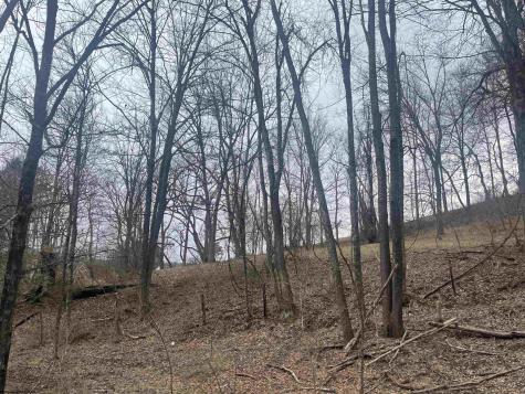 0 Putnam Street Buckhannon WV 26201