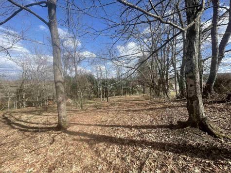 0 Putnam Street Buckhannon WV 26201