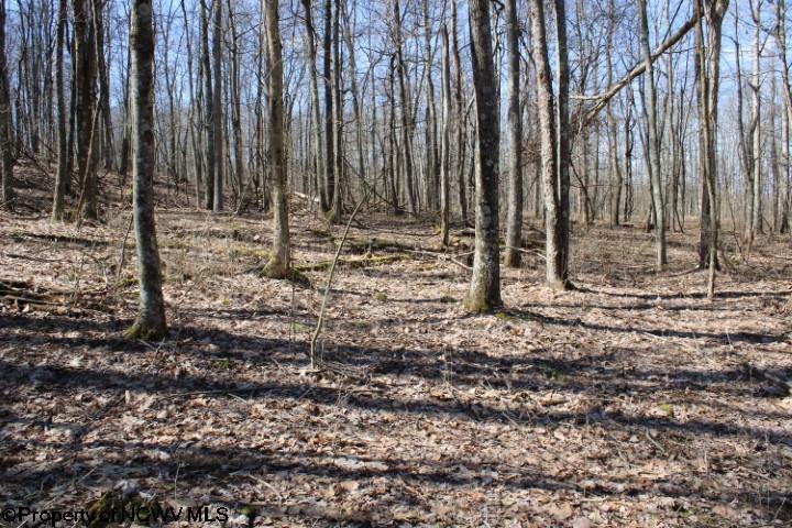 5 Sand Bank Heights Road Masontown WV 26542
