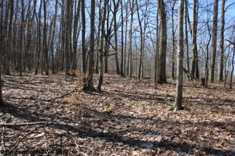 5 Sand Bank Heights Road Masontown WV 26542