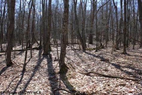 5 Sand Bank Heights Road Masontown WV 26542