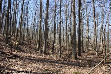5 Sand Bank Heights Road Masontown WV 26542