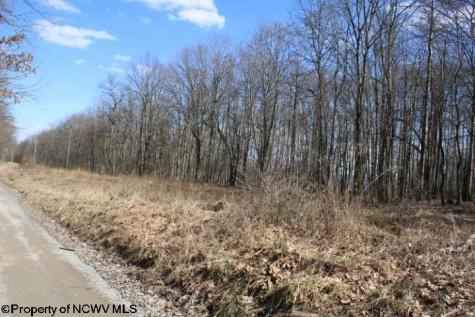 5 Sand Bank Heights Road Masontown WV 26542