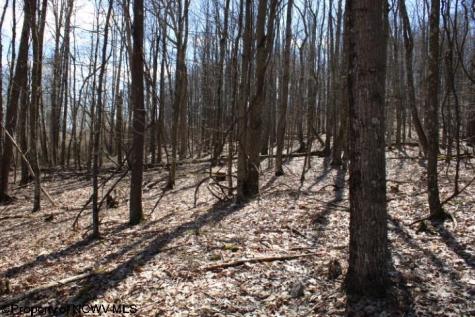 5 Sand Bank Heights Road Masontown WV 26542
