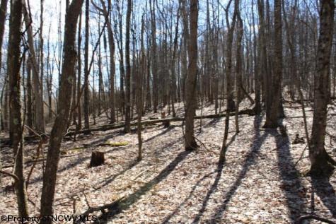 5 Sand Bank Heights Road Masontown WV 26542