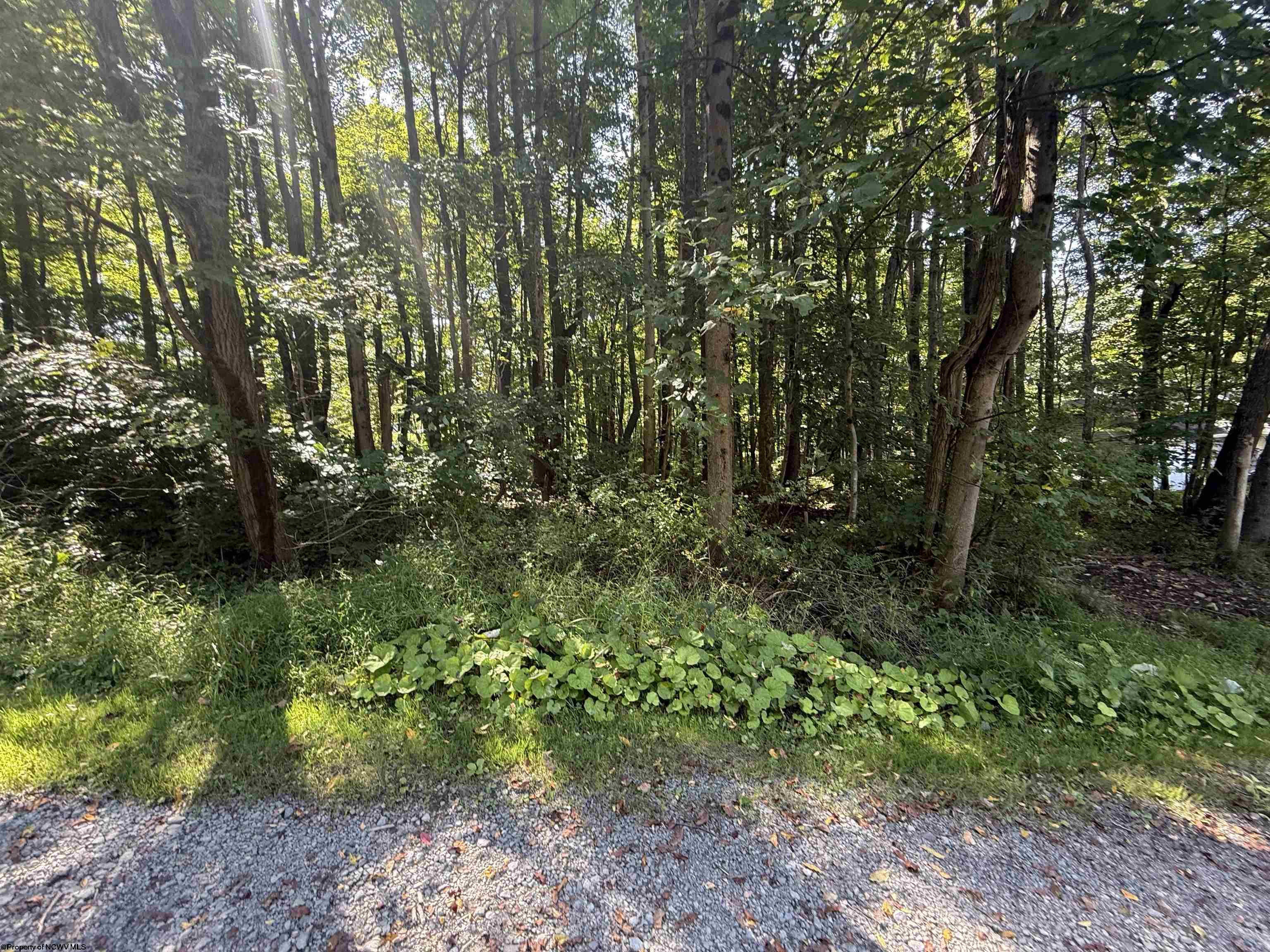 0 Kimberly Lane Kingwood WV 26537