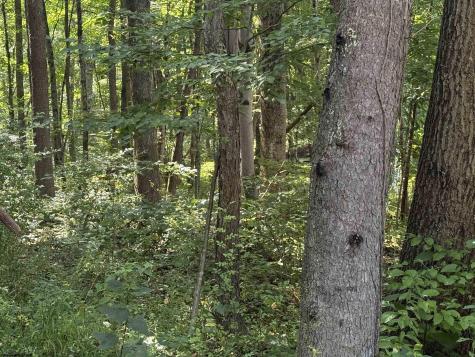 0 Kimberly Lane Kingwood WV 26537