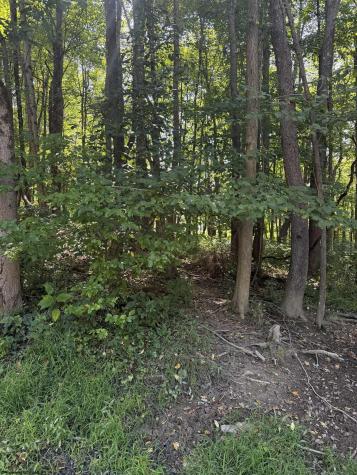 0 Kimberly Lane Kingwood WV 26537