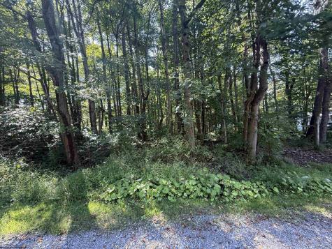 0 Kimberly Lane Kingwood WV 26537