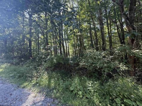 0 Kimberly Lane Kingwood WV 26537