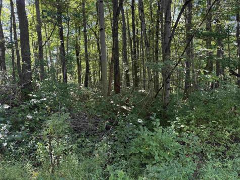 0 Kimberly Lane Kingwood WV 26537