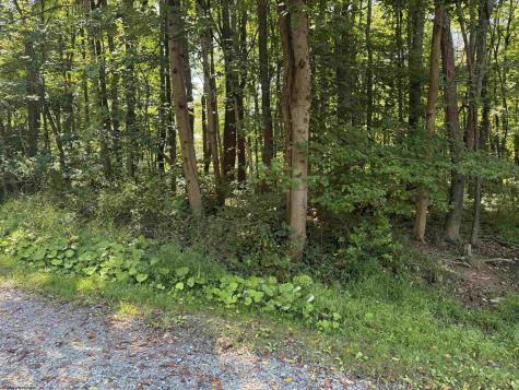 0 Kimberly Lane Kingwood WV 26537
