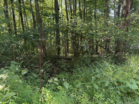 0 Kimberly Lane Kingwood WV 26537