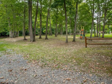 178 Palmer Drive Bruceton Mills WV 26525
