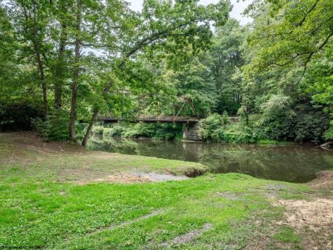 178 Palmer Drive Bruceton Mills WV 26525