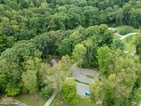 178 Palmer Drive Bruceton Mills WV 26525