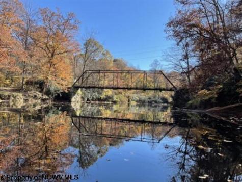 178 Palmer Drive Bruceton Mills WV 26525